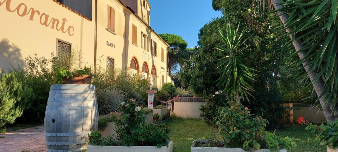 Locanda Menabuoi Donoratico Luaran gambar